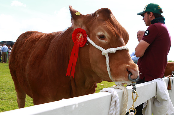 Great Yorkshire Show