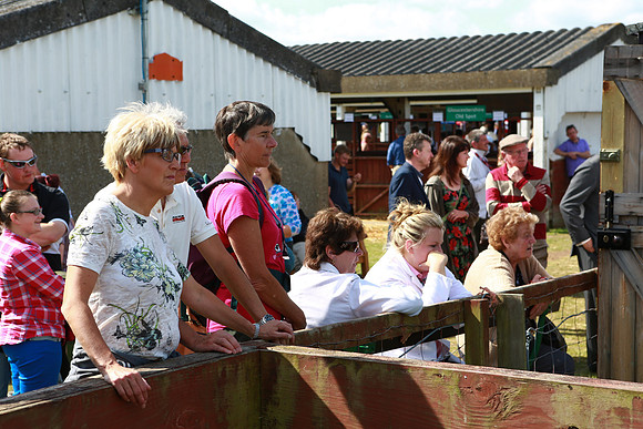 Great Yorkshire Show