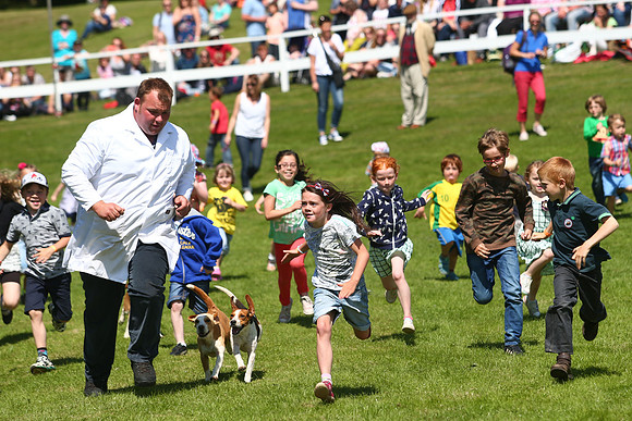 The Great Yorkshire Show