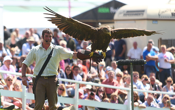 The Great Yorkshire Show