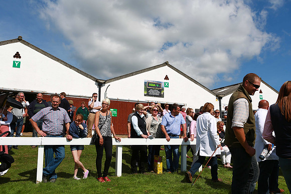 Great Yorkshire Show
