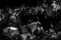 Malaga BW-25