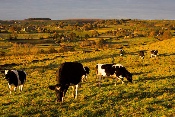 Landscape photography Mill Bank village calendar