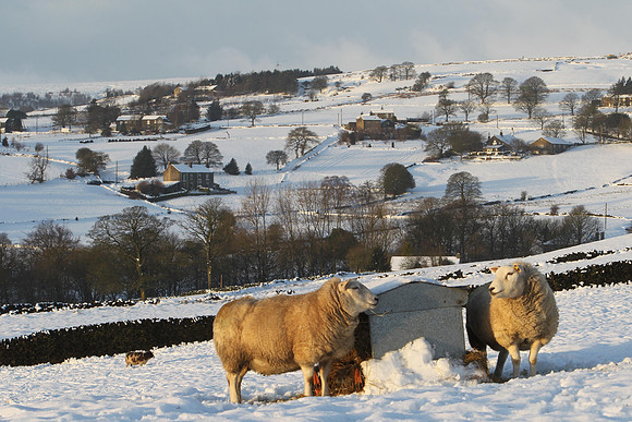 Mill Bank Village, West Yorkshire