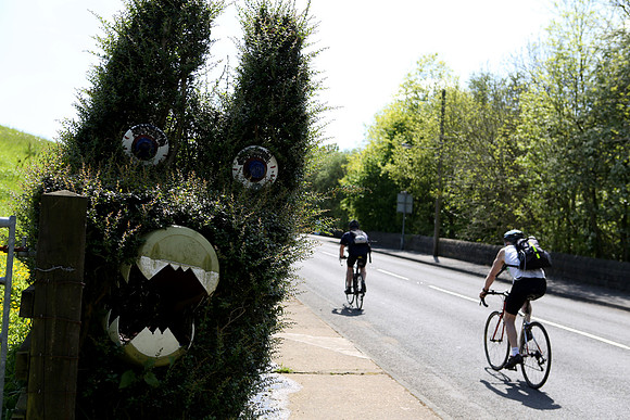 Dragon hedge and cyclists, Cragg Vale, Mytholmroyd