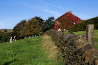 Mill Bank Village, West Yorkshire