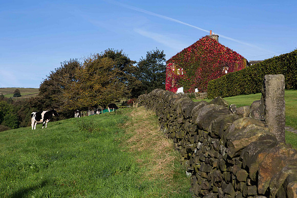 Mill Bank Village, West Yorkshire
