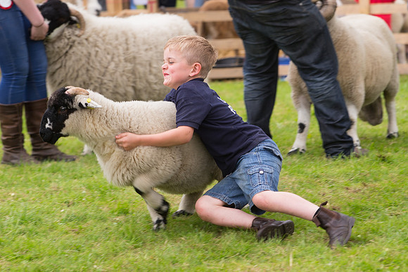 Halifax Agricultural Show