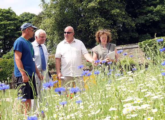 Wild flower judging by Yorkshire in Bloom
