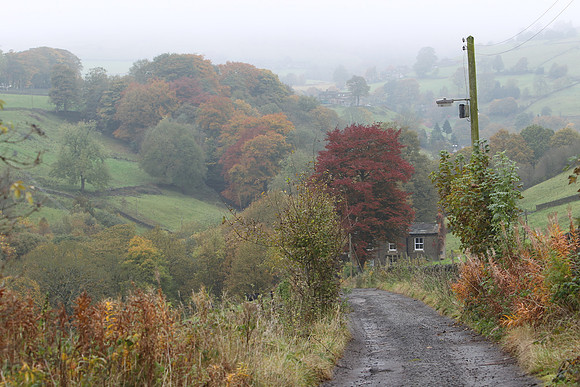 Autumn colours, Luddenden
