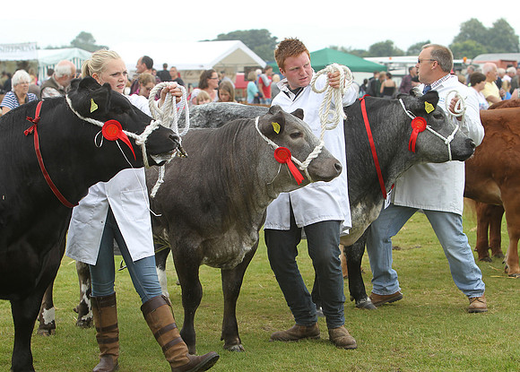 Halifax Agricultural Show