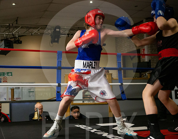SB Boxing 23-67