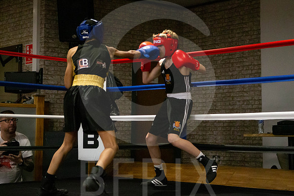 SB Boxing 23-11