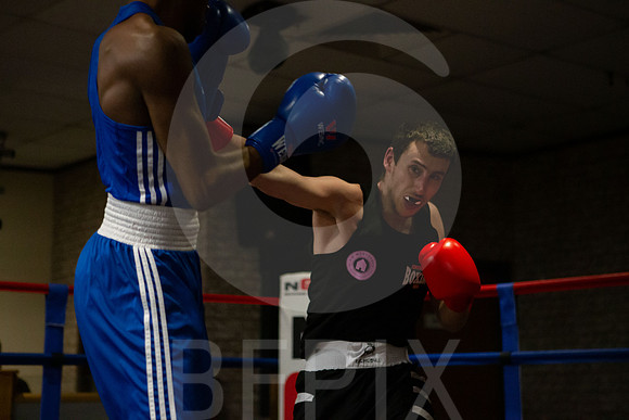 SB Boxing 23-205