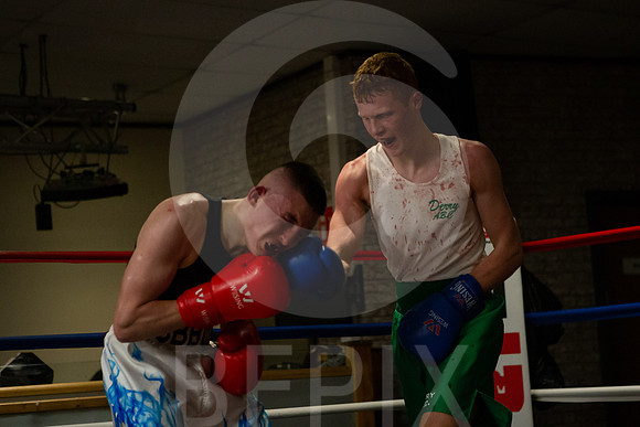 SB Boxing 23-278