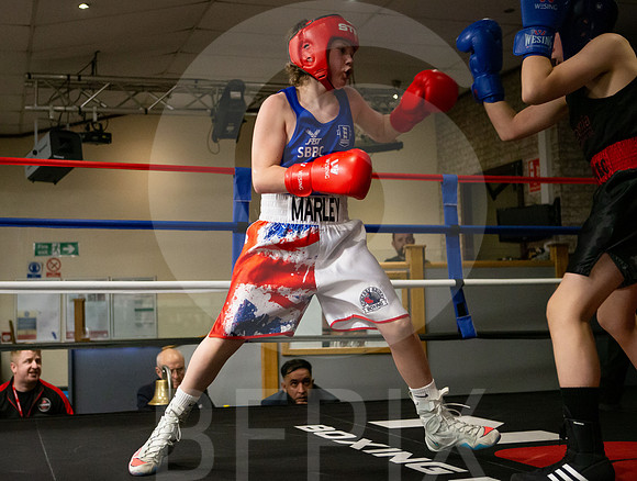 SB Boxing 23-66