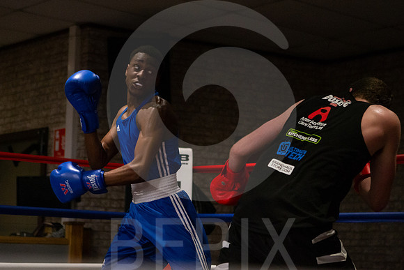SB Boxing 23-207
