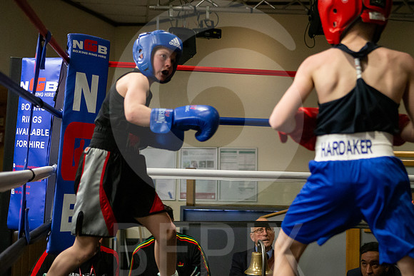 SB Boxing 23-28
