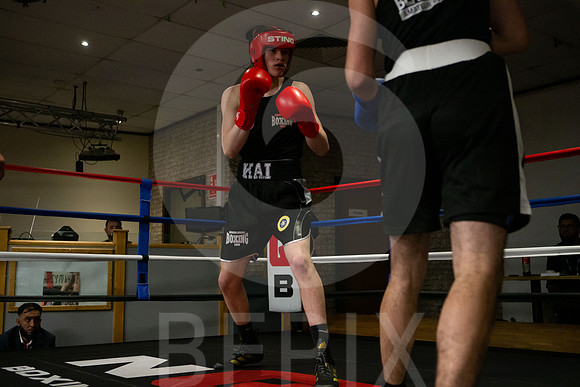 SB Boxing 23-221