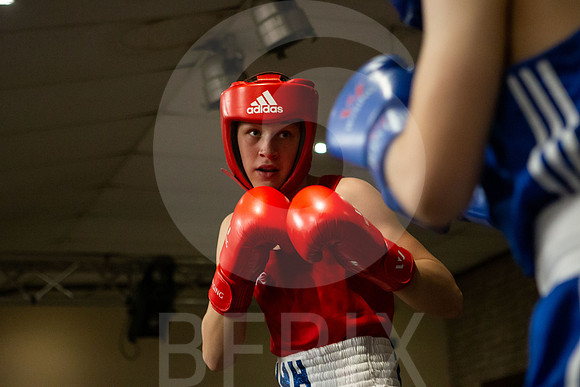 SB Boxing 23-89