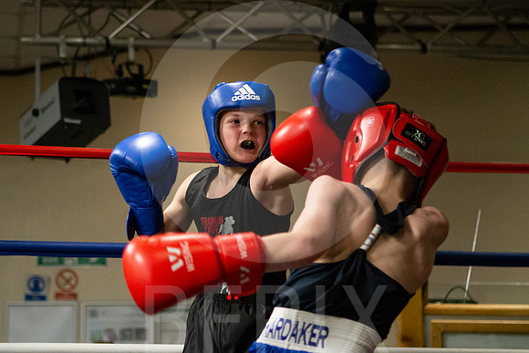 SB Boxing 23-31