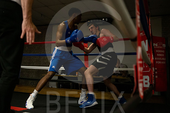 SB Boxing 23-208