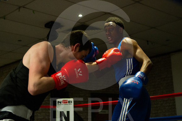 SB Boxing 23-206