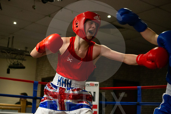 SB Boxing 23-100