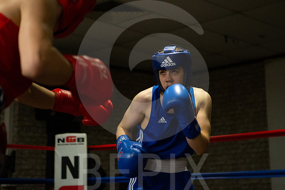 SB Boxing 23-87