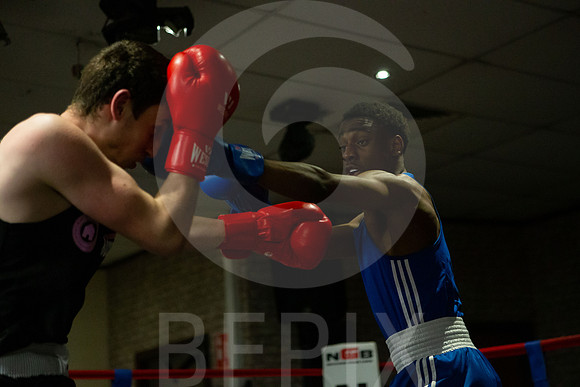 SB Boxing 23-203