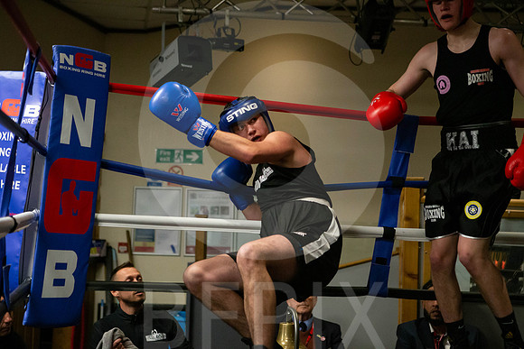 SB Boxing 23-238