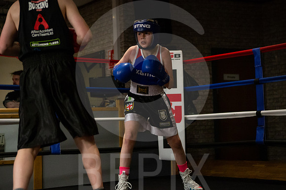 SB Boxing 23-167