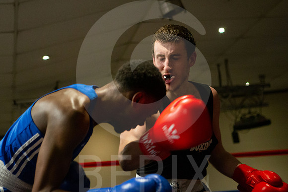 SB Boxing 23-217