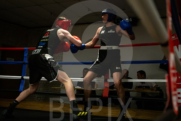 SB Boxing 23-239
