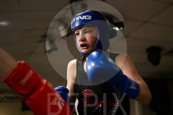 SB Boxing 23-41