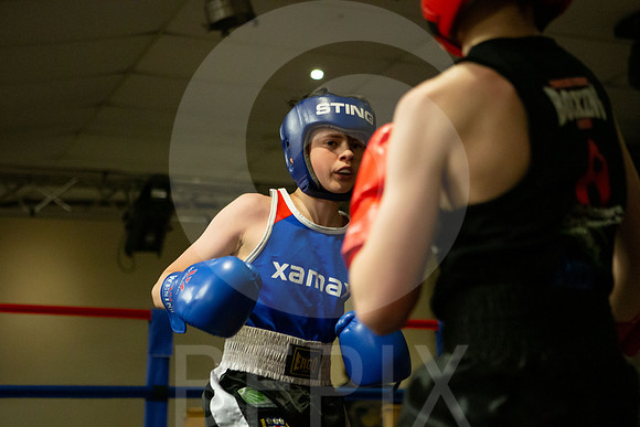 SB Boxing 23-165