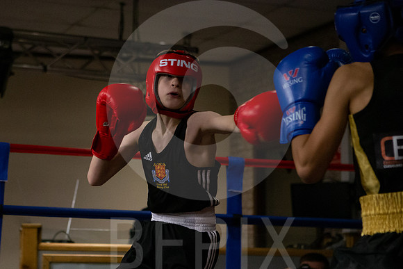 SB Boxing 23-3