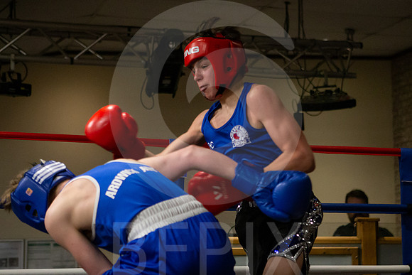 SB Boxing 23-119