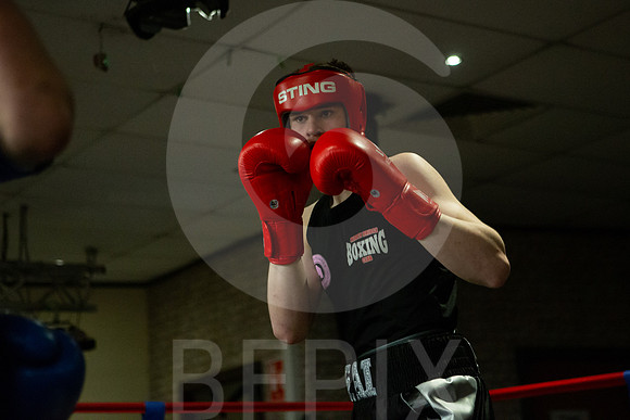SB Boxing 23-222