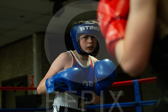 SB Boxing 23-172