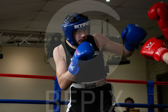 SB Boxing 23-230