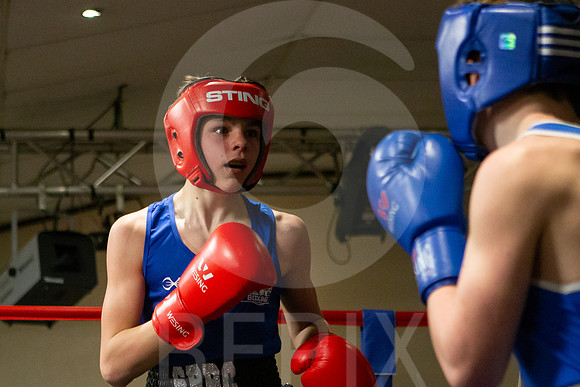 SB Boxing 23-113