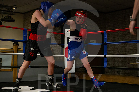 SB Boxing 23-50