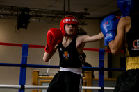 SB Boxing 23-2