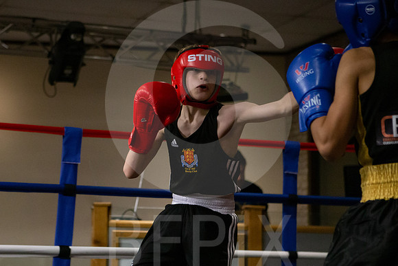 SB Boxing 23-2