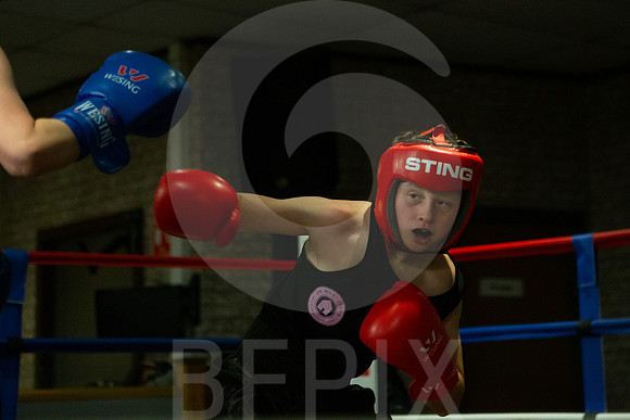 SB Boxing 23-164