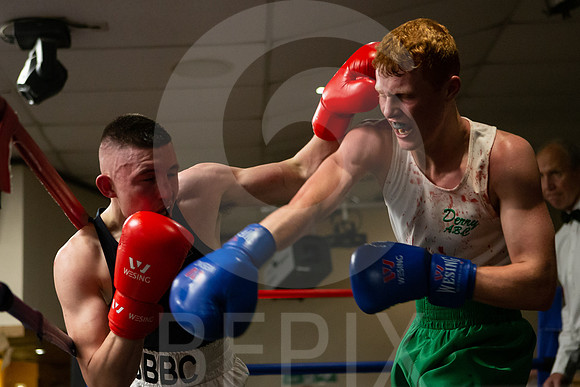 SB Boxing 23-276