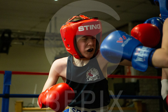 SB Boxing 23-26