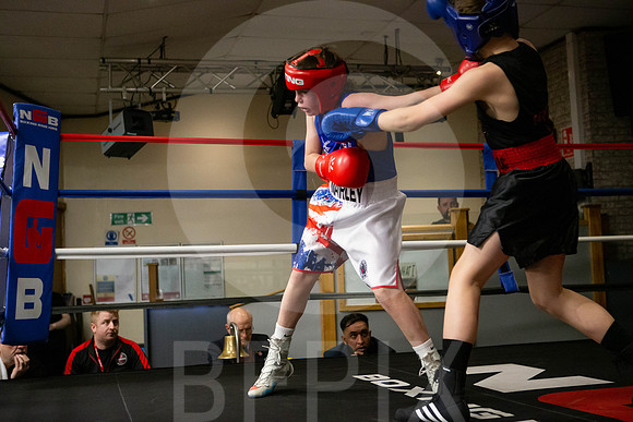 SB Boxing 23-65