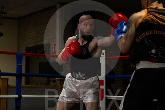 SB Boxing 23-186